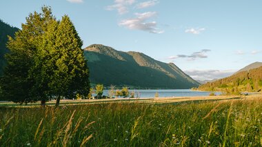 A serene landscape featuring a lake surrounded by mountains and lush green grass under a clear blue sky.